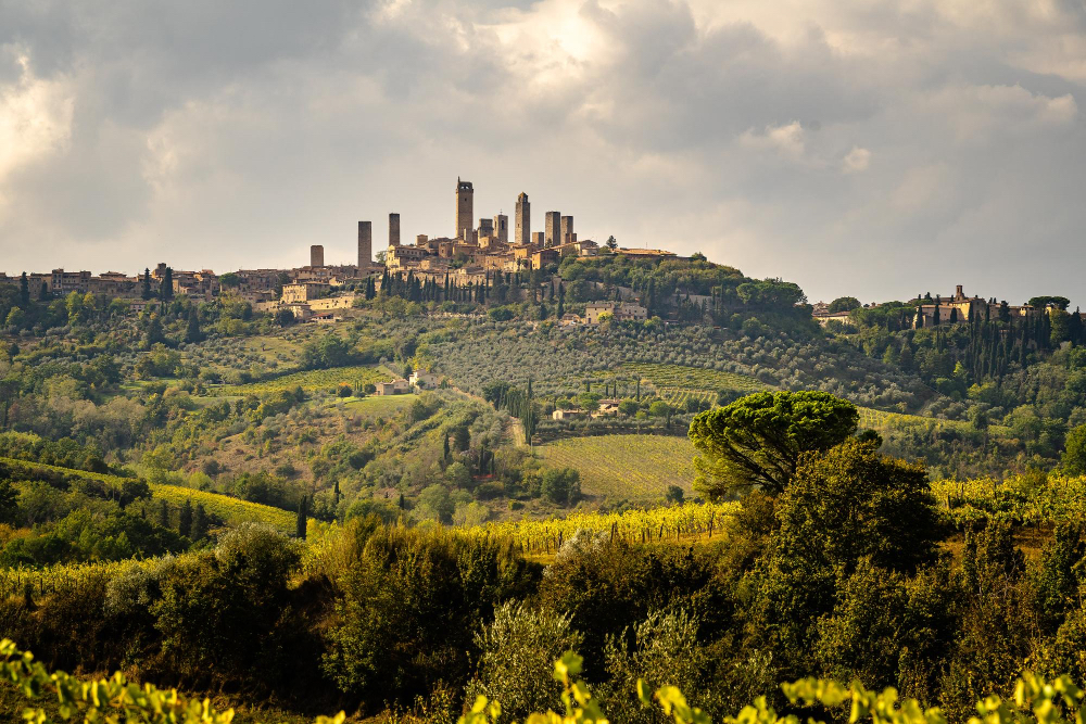 Veduta di San Gimignano - cosa vedere a montalcino